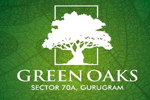 Gurgaon Projects